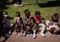 Community Picnic