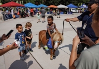 Community Picnic