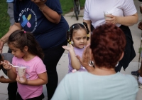 Community Picnic