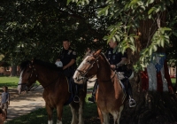 Community Picnic