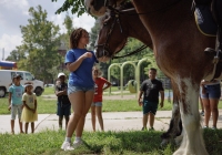 Community Picnic