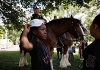Community Picnic