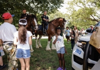 Community Picnic