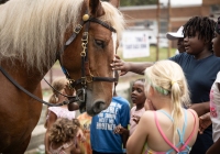 Community Picnic Bridesburg Rec. Center