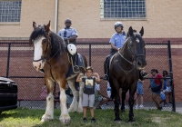 July 31, 2025: State Christine Tartaglione host a community picnic and backpack giveaway at Mayfair Recreation Center.