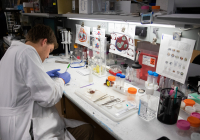 July 22, 2019: Yesterday, Senator Tartaglione joined her colleague, Senator Pam Iovino, to tour the most ambitious regenerative medicine program in the country, the University of Pittsburgh’s McGowan Institute. The legislators saw some of the great work that the institute is doing to develop new technologies for addressing tissue and organ insufficiencies, such as those that affect the heart and spine.