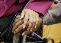 October 3, 2025: Senior Fair