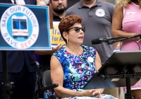 Transit Rally